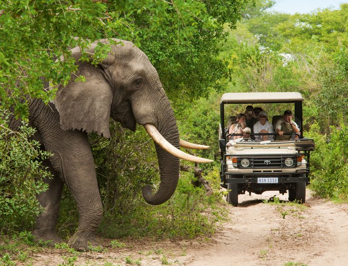 Südafrika Familienreise - Südafrika mit Kindern - Elefant Krüger Nationalpark