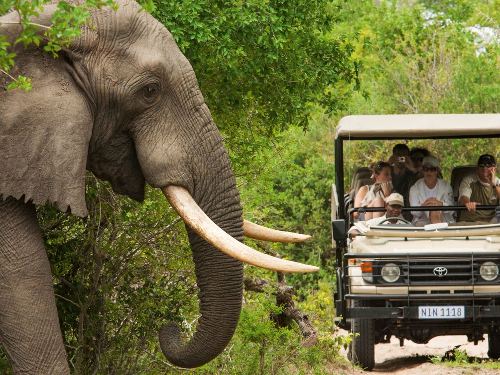 Familienreise Südafrika - Preisvorteilen bei Südafrika Familienreise - Elefant sehen während Safari