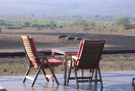 Familienurlaub Südafrika - Südafrika for family - Stühle der Lodge