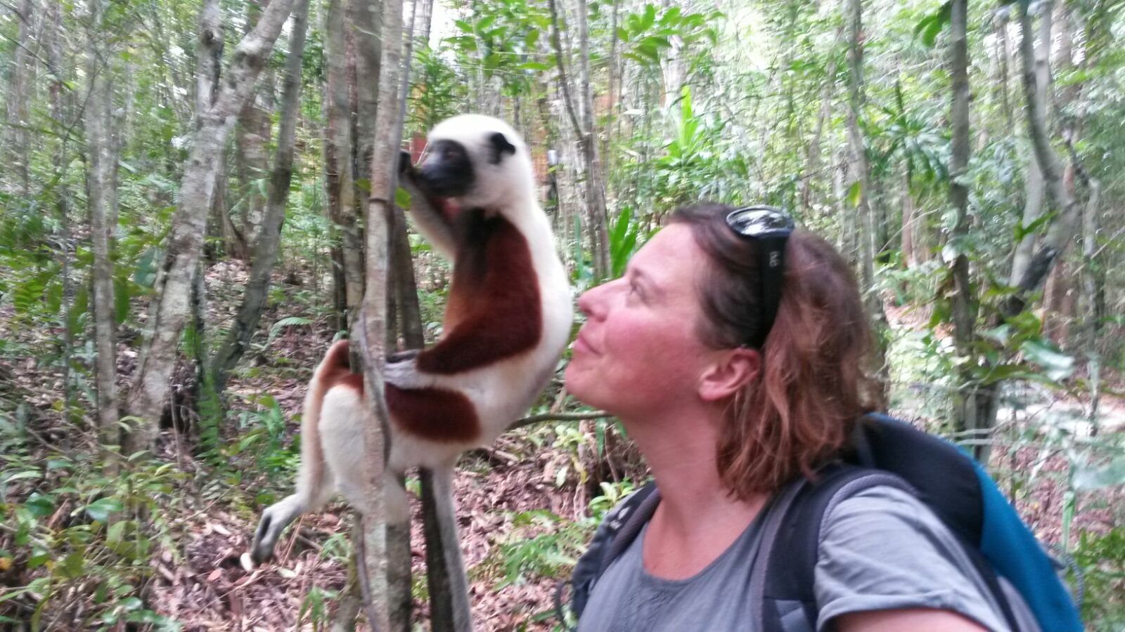 Action Urlaub mit Jugendlichen - Reiseziele Bucketlist für Fernreisen mit Jugendlichen - Madagaskar