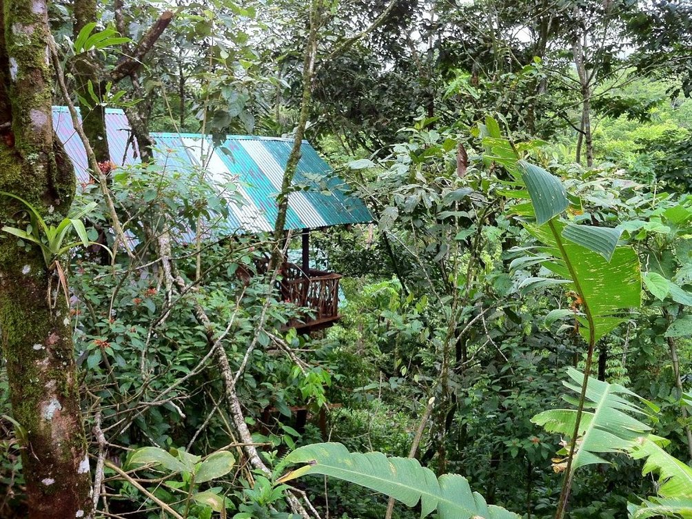 Costa Rica Unterkunft mit Kindern - Costa Rica mit Kindern - Die Lodge im Regenwald