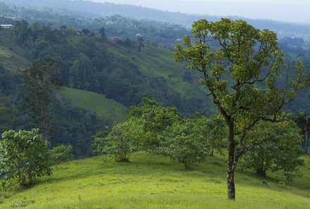 Costa Rica mit Kindern - Regenwaldprojekt: La Tigra Rainforest Lodge - Blick ins Tal