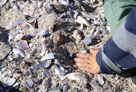 Familienreise Garden Route - Familiensafari zum Bestpreis - Muscheln sammeln