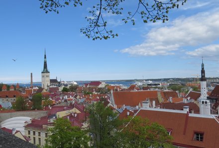 Baltikum for family individuell - Baltikum Familienreise mit Kindern - Estland - Tallinn Aussicht
