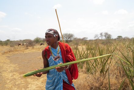 Serengeti mit Kindern individuell - Best of Familiensafari Serengeti - Guide