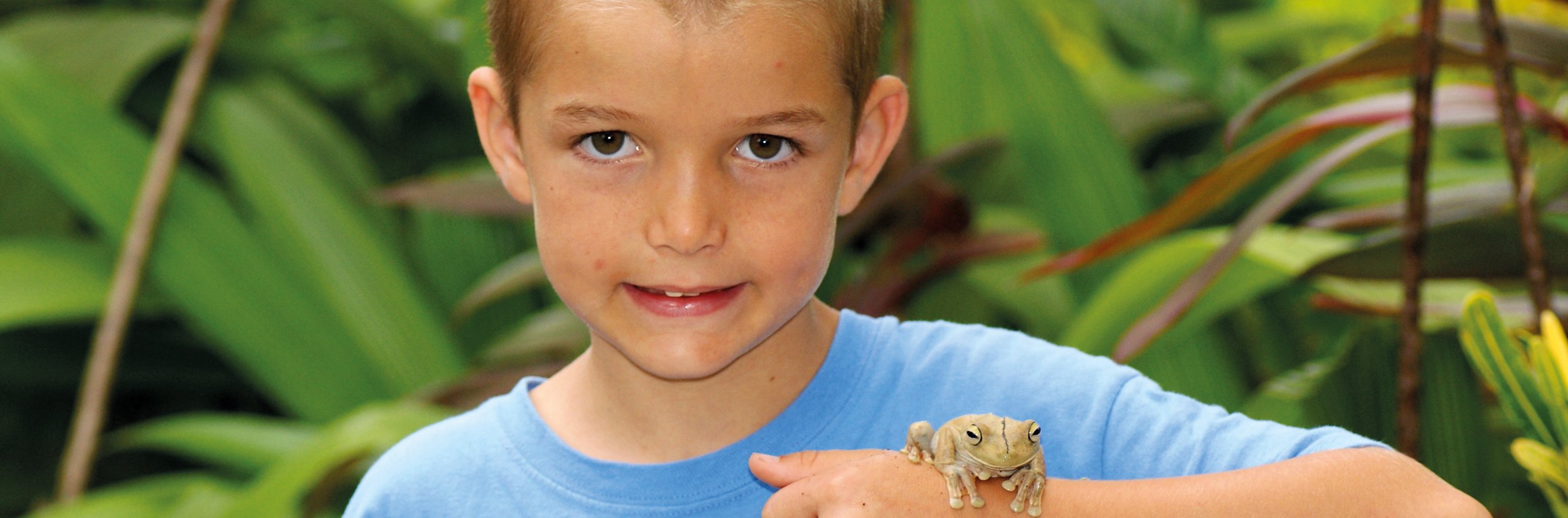 Costa Rica Familienreise - Junge mit Frosch