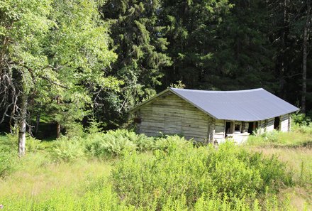 Familienreise Schweden - Schweden for family - Haus im Wald