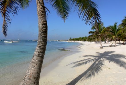 Mexiko Familienreise - Mexiko Family & Teens - Akumal Strand mit Palme