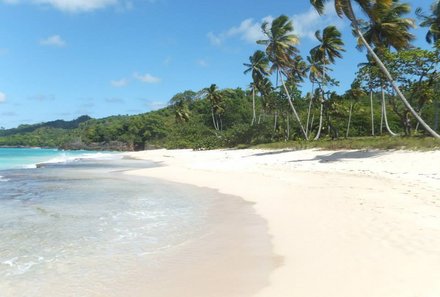 Dom Rep Familienreise - Samana Halbinsel - Strand