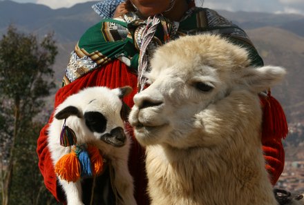 Peru Familienreise - Peru mit Jugendlichen - Frau mit Lama