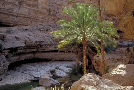 Oman for family - Familienreise Oman - Wadi