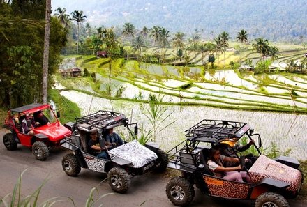 Bali mit Jugendlichen - Quad Tour Reisterrassen