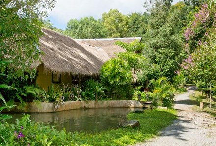 Familienreise Thailand - Thailand Teens on Tour - Hmong Lodge Natur