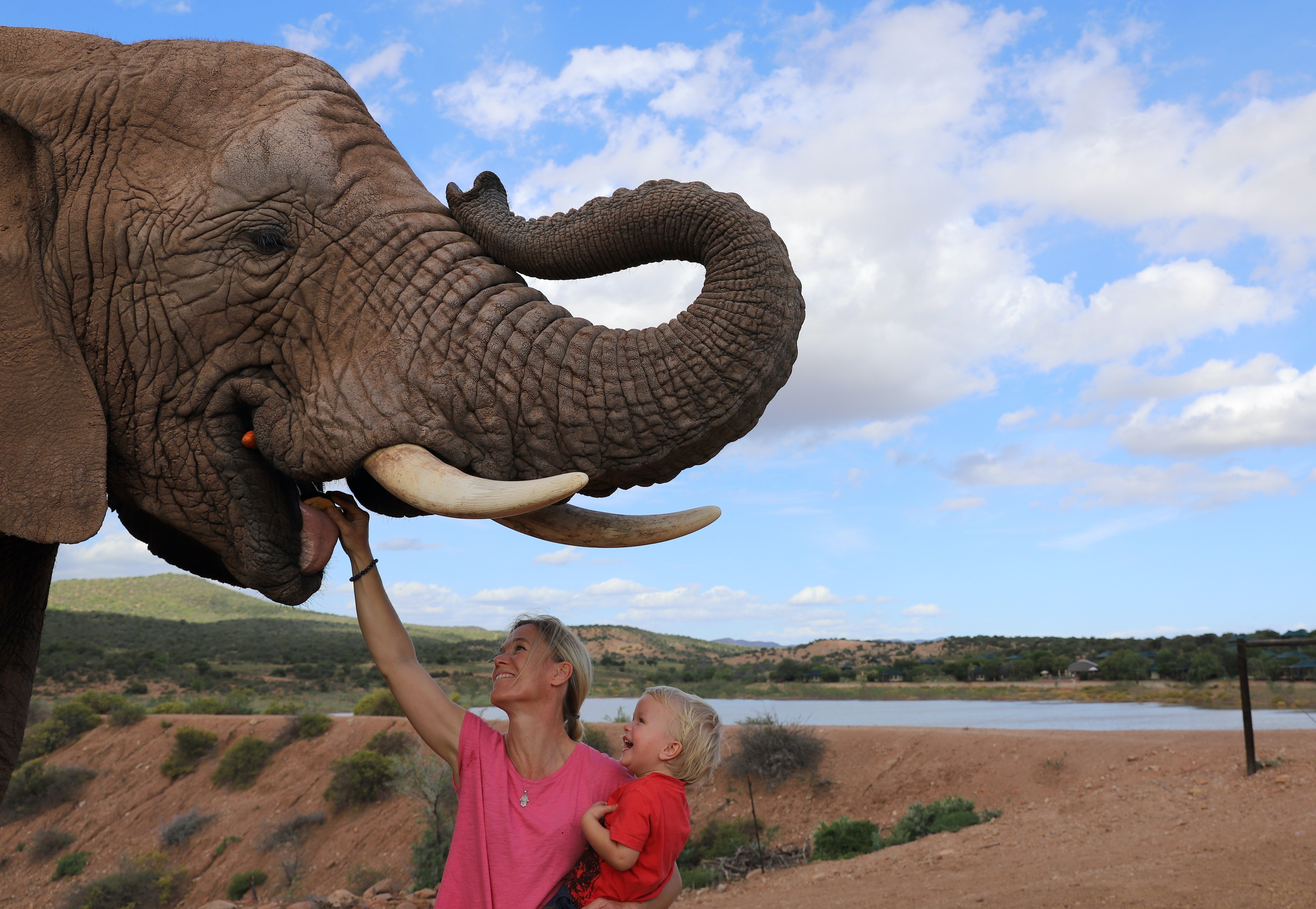 Fernreise mit Kindern - Sichere Fernreiseziele mit Kindern - günstige Fernreise mit Kindern - Südafrika