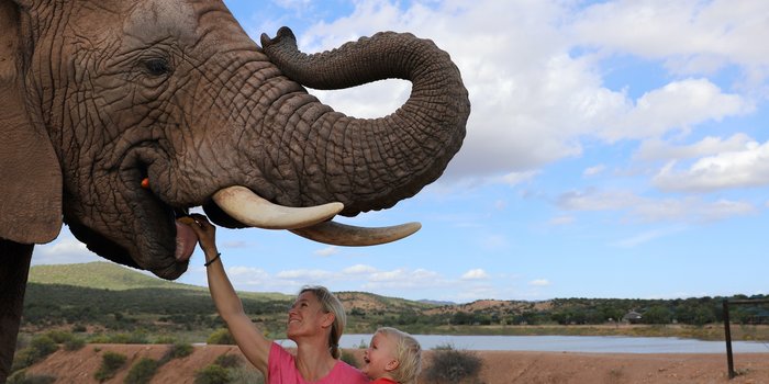 Astrid Därr - Journalistin - Garden Route - Frau Därr mit Sohn - Elefanten füttern