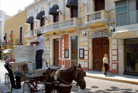 Mexiko Familienreise - Mexiko for family - Straße in Merida