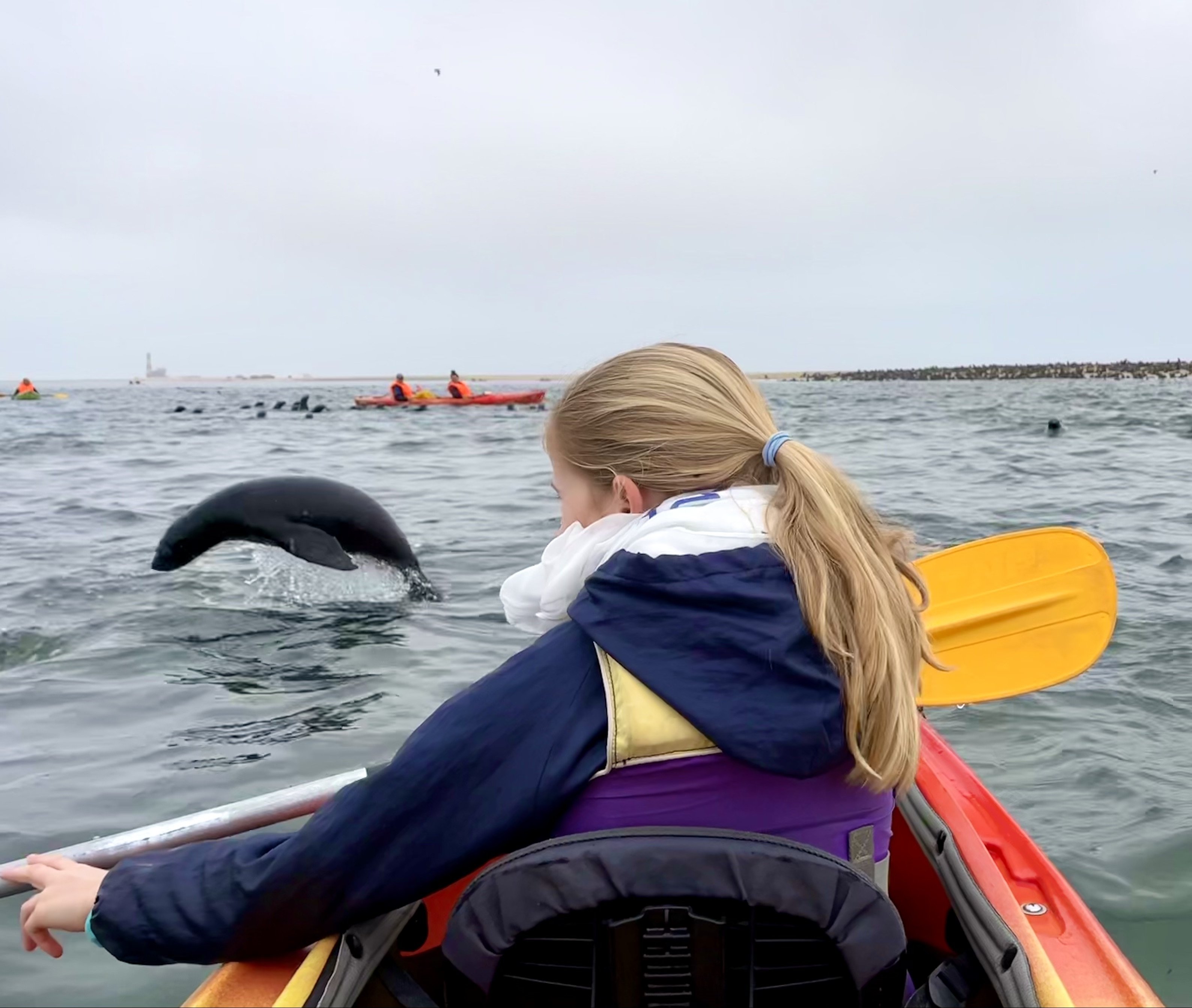 Namibia Selbstfahrerreise mit Kindern - Namibia Dachzelt Erfahrungen mit Kindern - Swakopmund - Kayaktour zu Robben