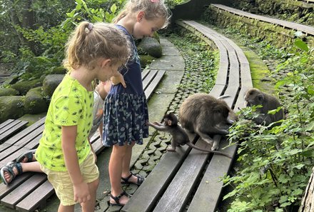 Bali Familienreise - Bali for family - Sacred Monkey Forest Sanctuary - Kinder mit Affen
