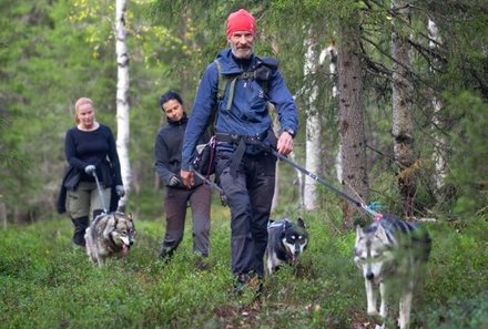 Finnland Familienreise - Finnland for family - Erkundung der Natur - Gruppe mit Huskys