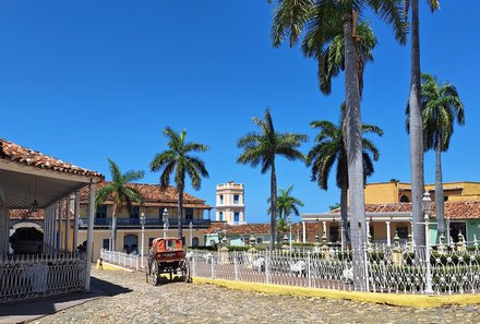 Kuba for family individuell - Trinidad - Palmen