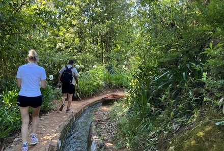 Madeira mit Kindern - Ausflüge & Reisetipps Madeira mit Kindern - Wanderung entlang Levada