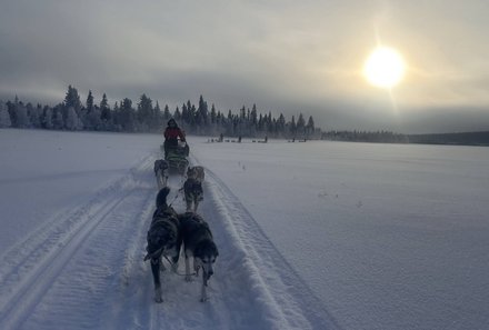 Schweden for family Winter - Hundeschlittentour - Schneelandschaft