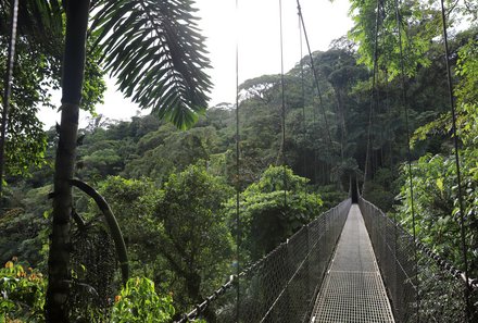 Costa Rica Mietwagenreise mit Kindern - Hängebrücke