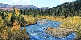 Kanada mit Kindern - Gründe nach Kanada zu reisen - Fluss in Yukon