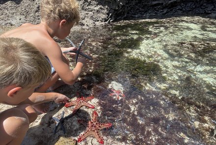 Kenia Familienreise - Kenia for family - Seestern von Chale Island