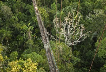 Galapagos Familienreise - Galapagos for family individuell - Yasuni Nationalpark Canopy Walkway