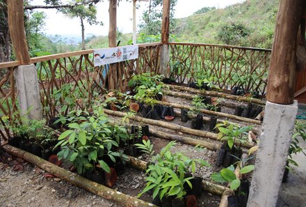 Costa Rica mit Jugendlichen - Beet bei La Tigra