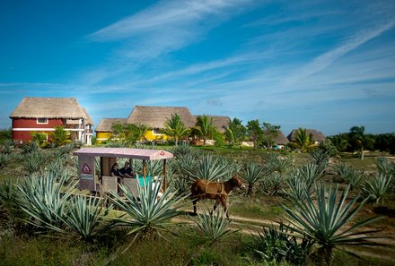 Mexiko Familienreise - Mexiko for family - Hacienda Sotuta de Peon Außenansicht