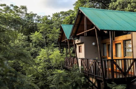 Südafrika Familien individuell - Mantegna Lodge - Lodge im Grünen