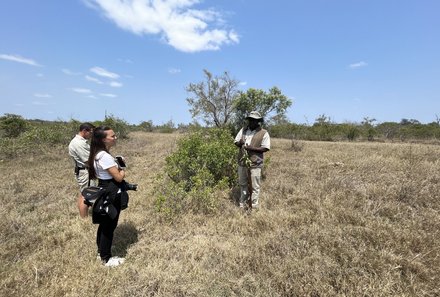 For Family Reisen - Reiseziele 2024 - Südafrika Bush Walk