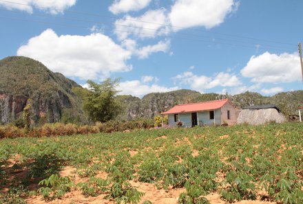 Kuba mit Kindern - Kuba Casas for family - Aussicht auf Vinales Tal