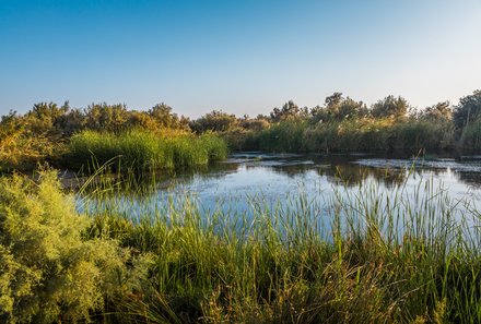 Jordanien Rundreise mit Kindern - Jordanien for family - Azraq See