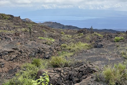 Familienreise Galapagos und Ecuador - Galapagos Family & Teens - Vulkanlandschaft