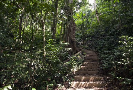 Vietnam for family individuell - Ninh Binh - Cuc Phuong Nationalpark Gehwege
