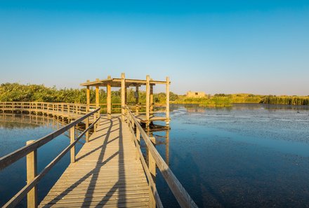 Jordanien Rundreise mit Kindern - Azraq Wetland Reserve - Brücke auf See