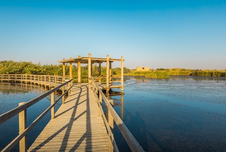 Jordanien Rundreise mit Kindern - Jordanien for family - Azraq Wet land