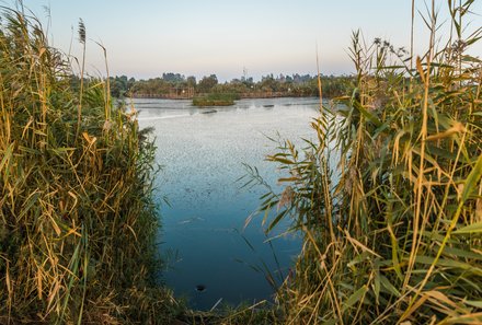 Jordanien Rundreise mit Kindern - Jordanien for family - Natur im Azraq