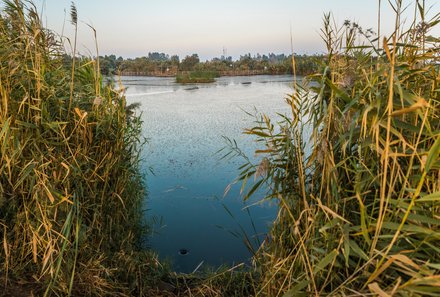 Jordanien Rundreise mit Kindern - Azraq Wetland Reserve - See