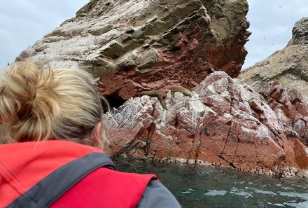 Peru Familienreise - Peru Teens on Tour - Ballestas Islands - Bootstour