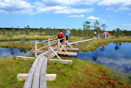 Baltikum for family - Kemeri Nationalpark - Wanderwege