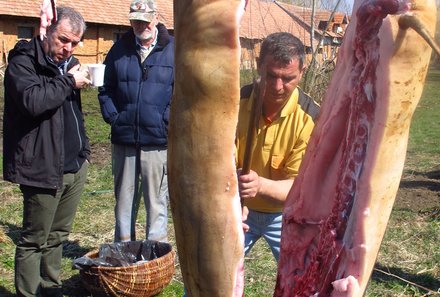 Rumänien mit Kindern - Landleben Rumänien - Schwein schlachten