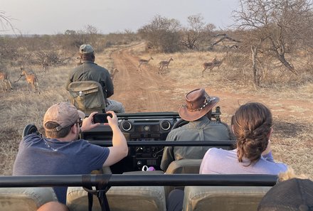 Safari Afrika mit Kindern - Safari Urlaub mit Kindern - beste Safari-Gebiete - Krüger Nationalpark - Pirschfahrt im offenen Jeep