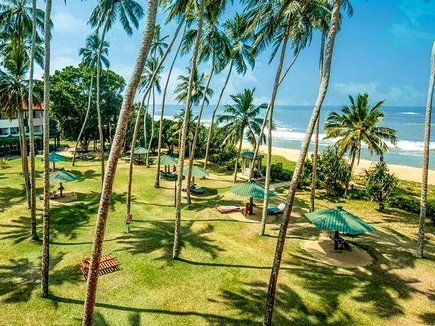 Sri Lanka mit Kindern  - Tangerine Beach Garten