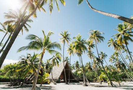 Hawaii Inselhopping for family individuell - Familienreise Hawaii mit Kindern - Pu’uhonua o Honaunau Historical Park - Palmen