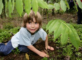 Familienreisen_Costa Rica_Kind pflanzt einen Baum