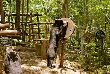 Familienreise Vietnam & Laos - Vietnam & Laos for family individuell - Bärenzentrum Kuang Si